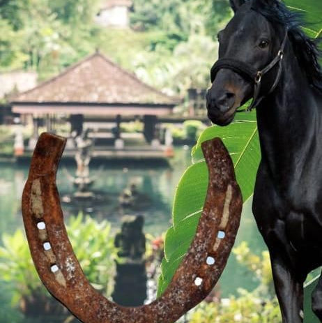 Kale Ghode Ki Naal Iron Yantra